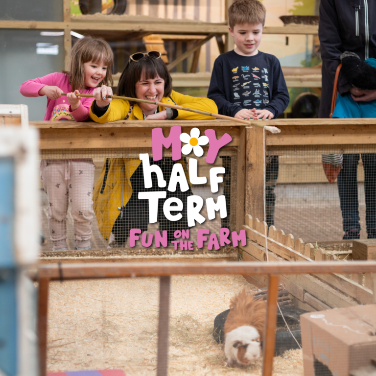 May Half Term Fun on the Farm Square One Image 2