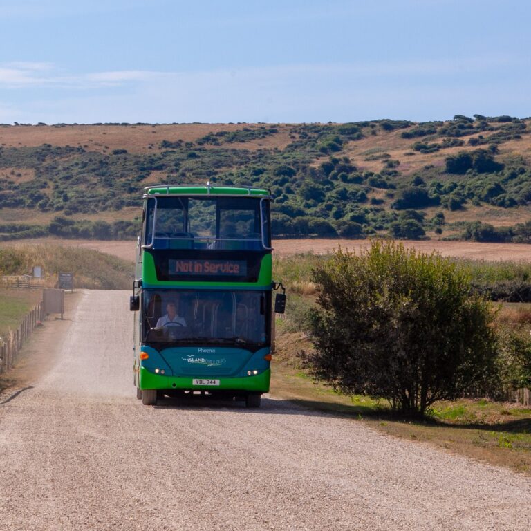 SV Bus driveway