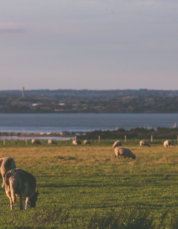 View of Solent 2