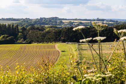 Tapnell Farm Tapnell Trail 2