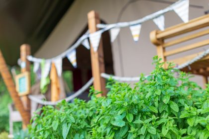 Toms Eco Lodge Safari Tent IMG 1284