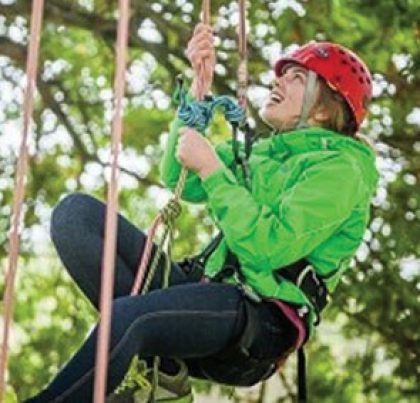 Image of the Goodleaf Tree Climbing, Ryde Cow