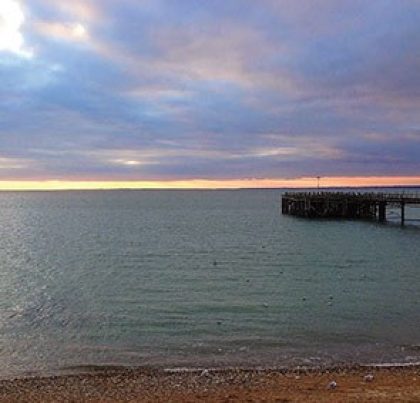 Image of the The Waterfront, Totland Bay Cow