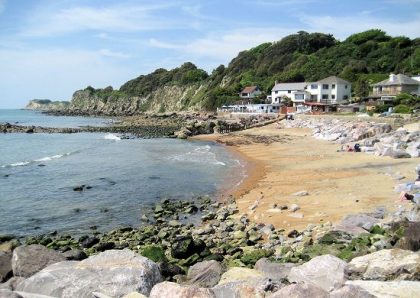 Image of the Steephill Cove, Ventnor Cow