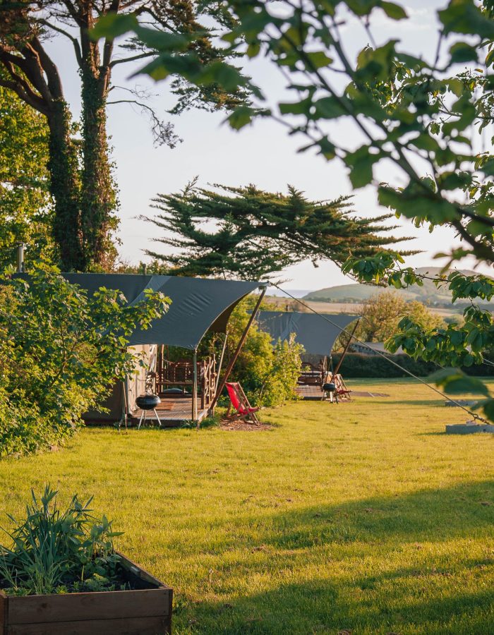 Tapnell Farm safari tents PH imagery