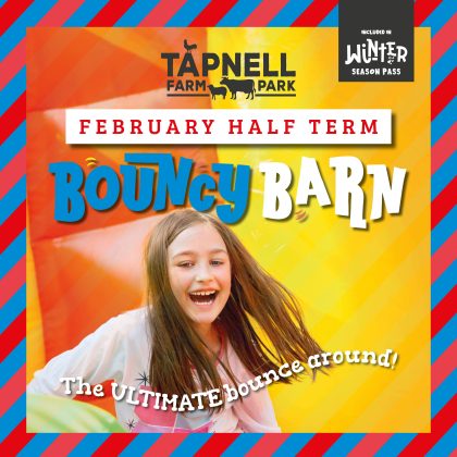 Bouncy Barn Feb Half Term Square