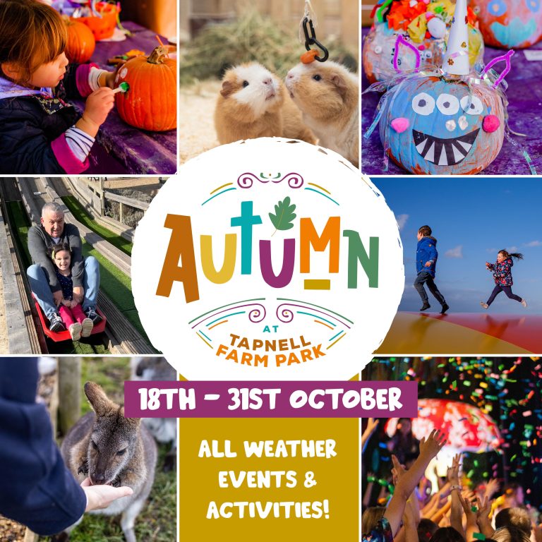 Autumn in the Farm Park No Date5