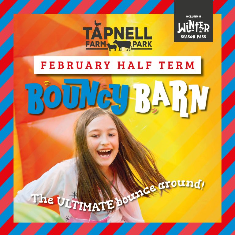 Bouncy Barn Feb Half Term Square