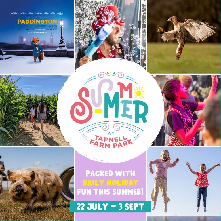 Summer at Tapnell Farm Park Social Square