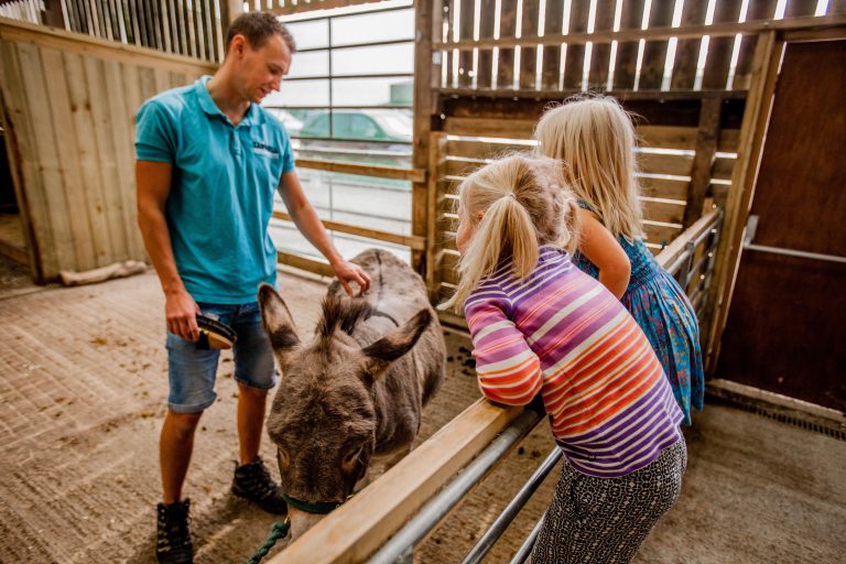 Daily Animal Activities Tapnell Farm Isle of Wight